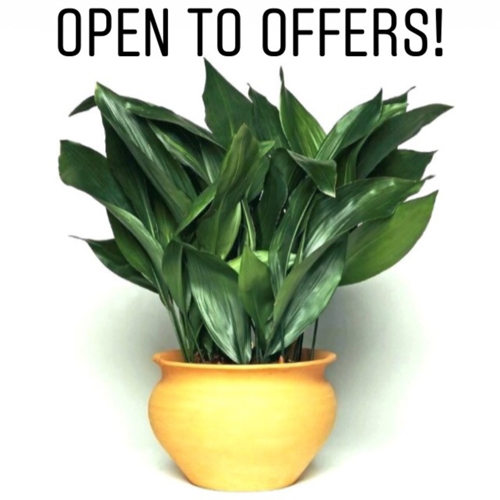 Reasonable offers welcomed!